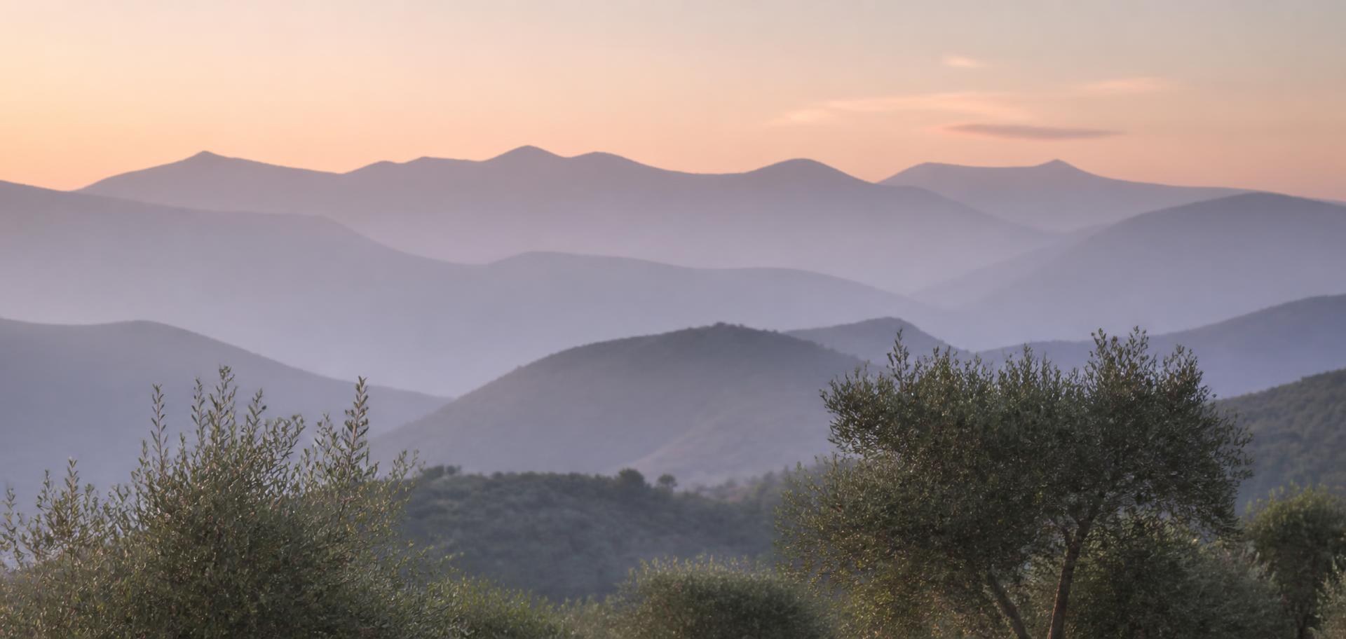 Misty layered mountain ridges at dawn with soft olive foliage